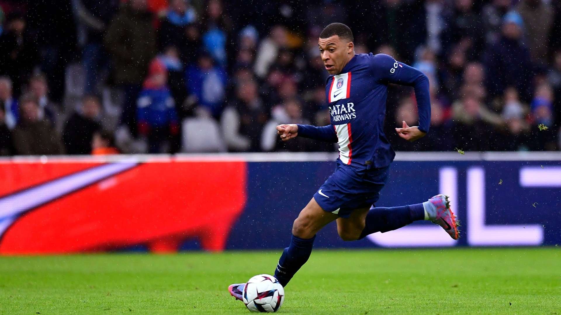 众多年轻球 众多年轻球