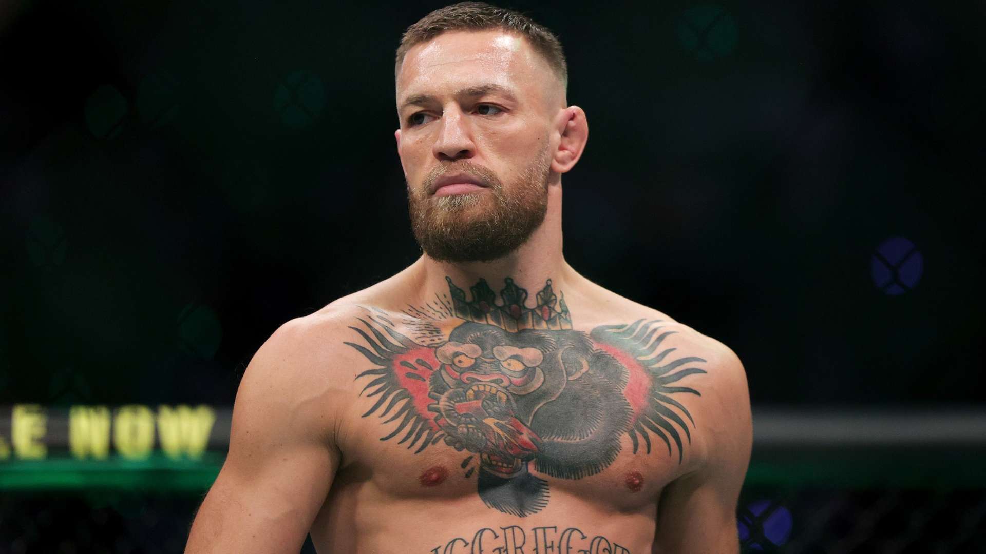 年轻球员在 年轻球员在